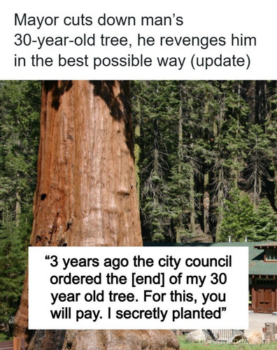 tree.jpg