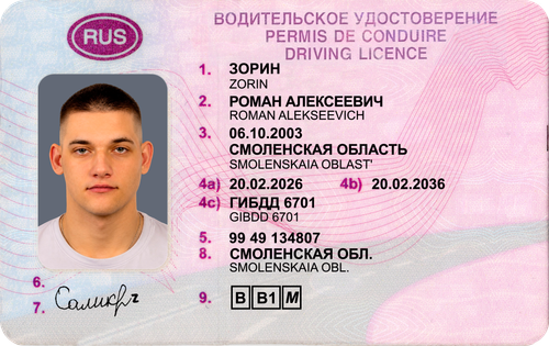 ЗОРИН1.png