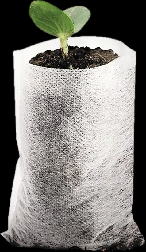 HEIF Image.jpg