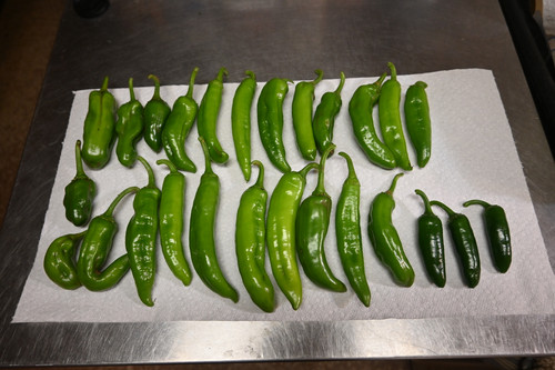 PEPPERS VARIOUS VARIETIES 6.8.2026.jpg