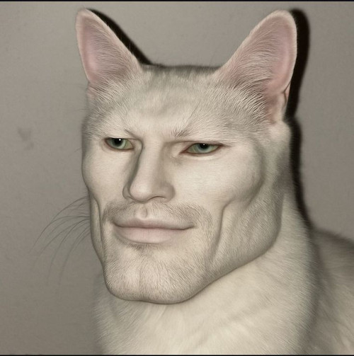 file.jpg