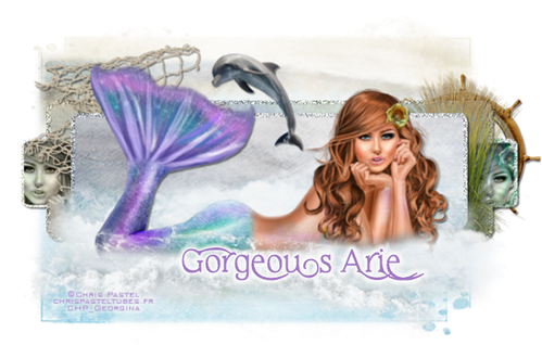 MermaidGorgeousArie vi.png
