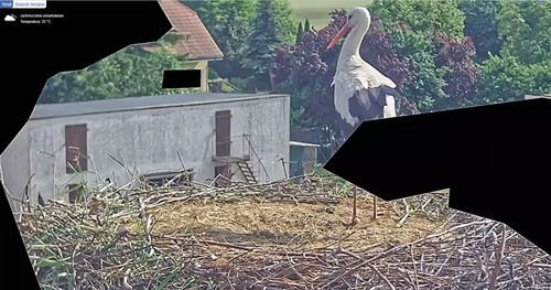 MWSnap594.jpg