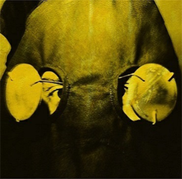 6c5843746f82.png