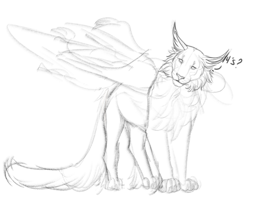 snow comm.png