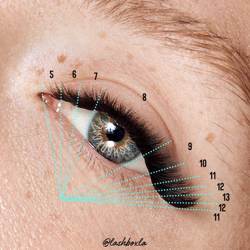 Lash Map.jpg