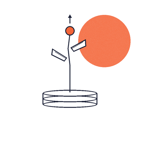 5c5b9f7b207d.png