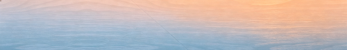 IMG 20260608 064837.png
