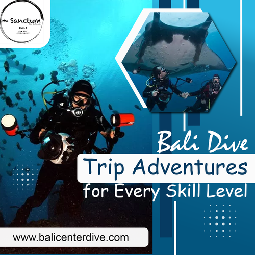 Bali Dive Trip Adventures for Every Skill Level.png