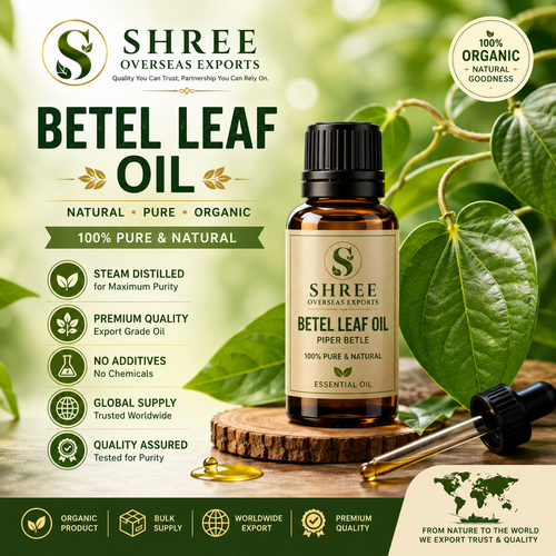 Organic Betel Leaf Oil Wholesale The Preferred Choice for Global Gaming Industry Product Manufacture.png