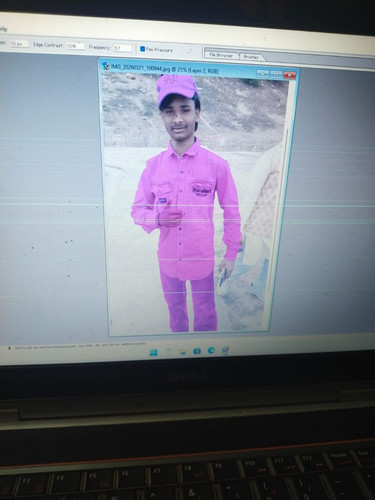 file 12923.jpg