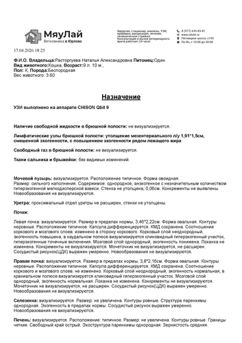 Один УЗИ 17.04.26 Страница 1.png