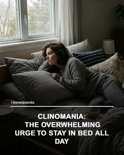 img facts (4).jpg