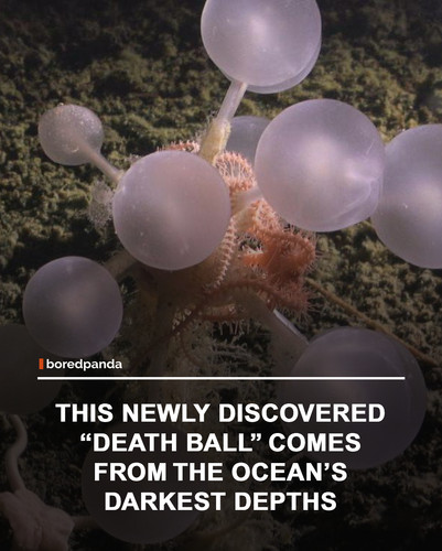 img facts (3).jpg