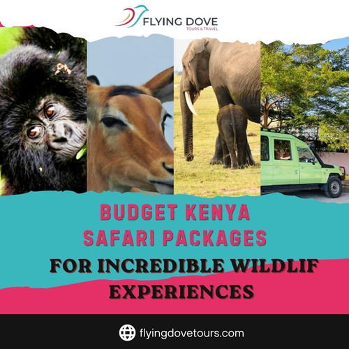 Budget Kenya Safari Packages for Incredible Wildlife Experiences.jpg