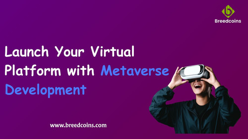 Launch Your Virtual Platform with Metaverse Development.jpg