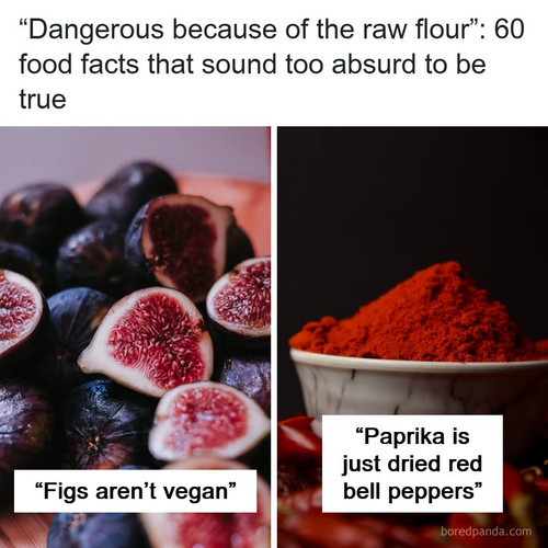 food facts.jpg