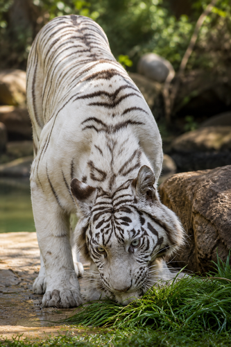 5e6154f4971d.png
