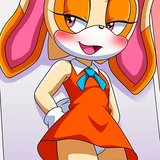 13.png