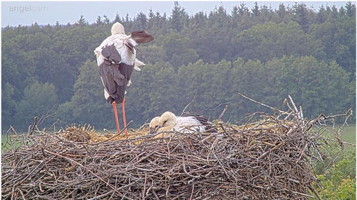 MWSnap363.jpg