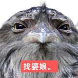 IMG 2224.png