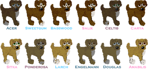 LabrahundWoodsLitter2B.png