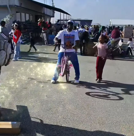 Toy Distributions