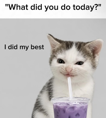 image 2026 06 08T144009.542.png