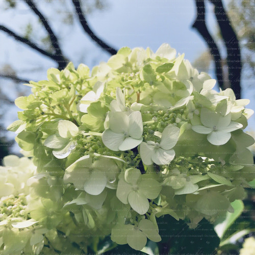 c854c4fddc69.jpg