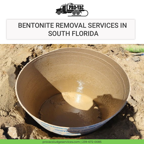 benonite removal services in south florida.png