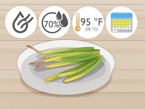Grow Vanilla Step 21 Version 3.jpg