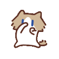 IMG 6880.gif