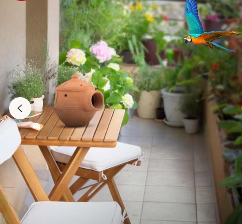 Bird Nest For Garden.jpg