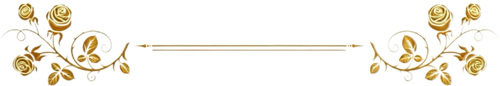 quality restoration 20260608132857556.png