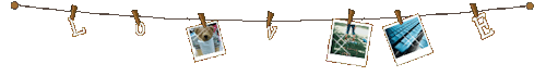 IMG 5076.gif