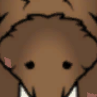 7e253f23fcc2.png