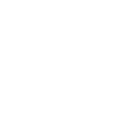big lion logo qwaken q white A41Pck4rcAFe6LMb.png