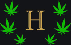 hamp logo nino 2 scaled e1606648224918 1.jpg