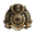 645745743 956858333510149 8946200542336938262 n 32x32.png