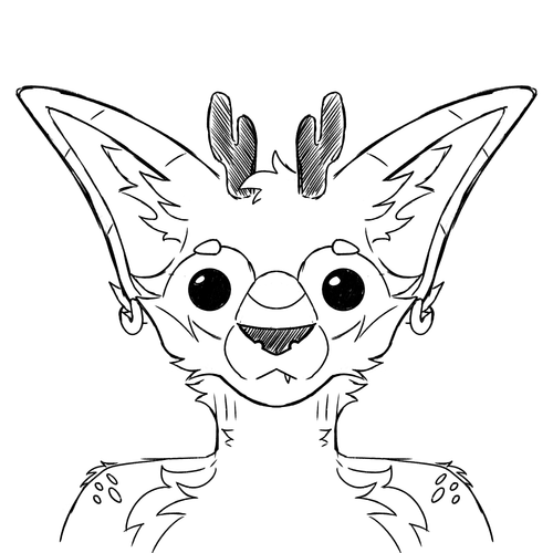 IMG 2364.png