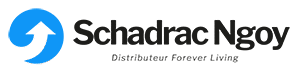cropped Logo schadrac ngoy 300x73 1.png