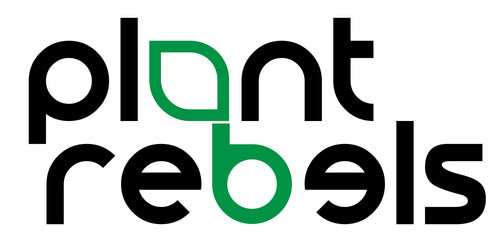 Plant Rebels 2 29d0e19a fb15 4bc8 bcef 3d71a2201f28.jpg