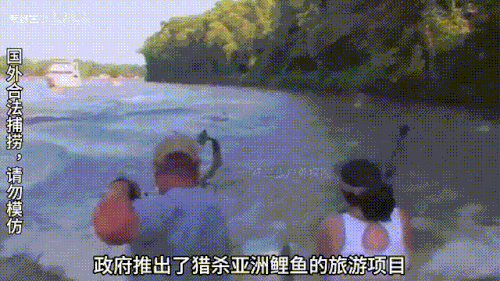 7590df28 86f4 4976 b697 ff438cefa9d6.gif