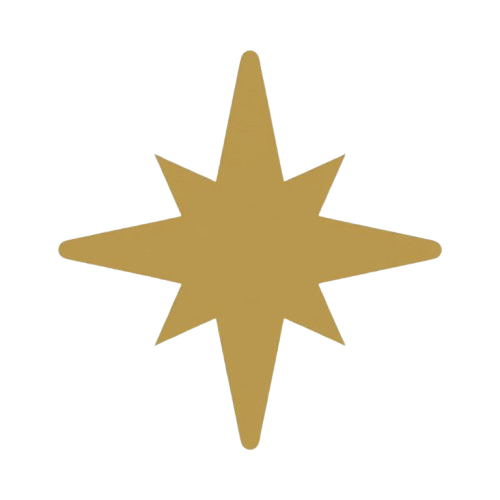 CFRVA37 removebg preview.png