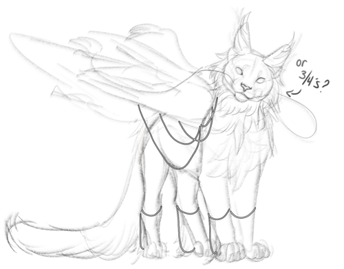 snow comm.png