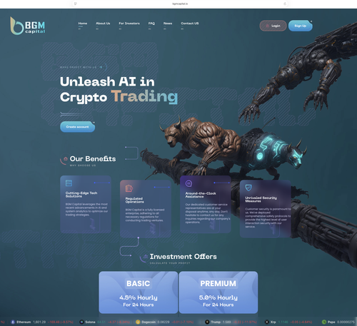 BGMCAPITAL Website.png