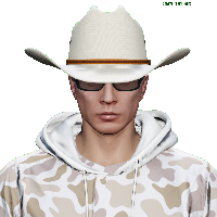 4376bfbb8575.png