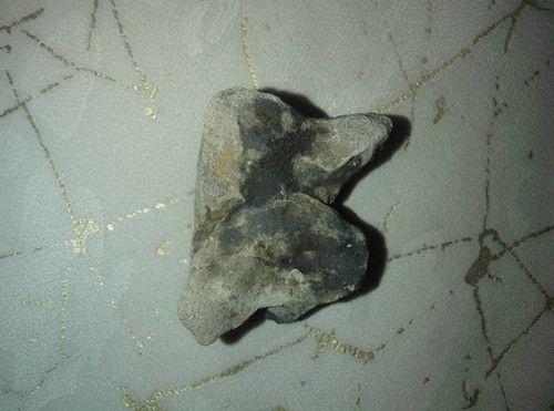1a26cae5d508.jpg