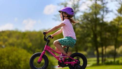 bike shops auckland  ||.jpg