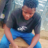 temp.png